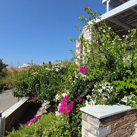 Aeolia Villas Karystos  Esterno foto