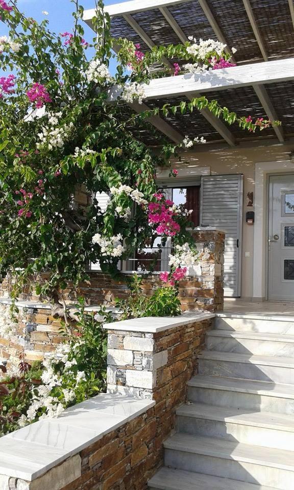 Aeolia Villas Karystos  Esterno foto