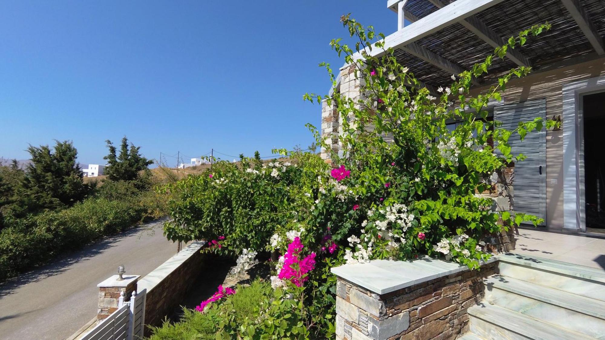 Aeolia Villas Karystos  Esterno foto